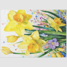 Spring Floral Daffodil Tissue Paper