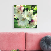 Spring Flower Crabapple Blossom 2 close Up Canvas Afdruk (Insitu (Woonkamer))