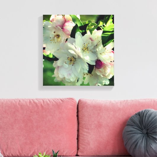 Spring Flower Crabapple Blossom 2 close Up Canvas Afdruk (Insitu (Woonkamer))