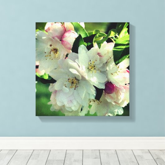 Spring Flower Crabapple Blossom 2 close Up Canvas Afdruk (Insitu (Houten vloer))