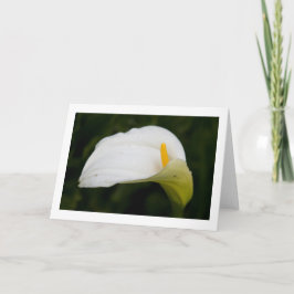 Spring Flower Gevouwen Blank Wenskaart Kaart