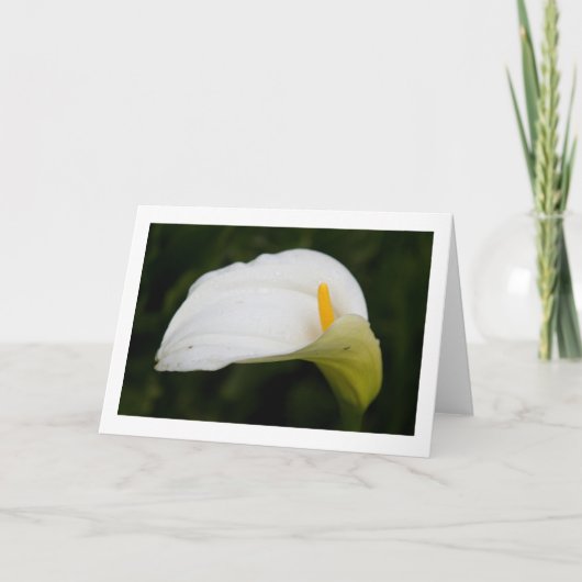 Spring Flower Gevouwen Blank Wenskaart Kaart (Voorkant)