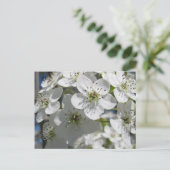 Spring Flowering Tree Flowers Post Kaart (Staand voorkant)