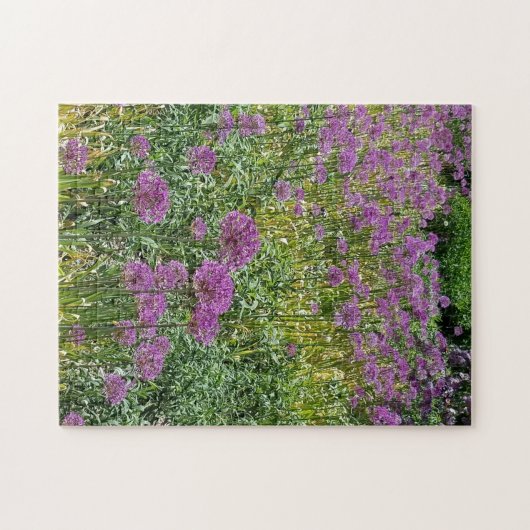 Spring Flowers Alliums Legpuzzel (Horizontaal)