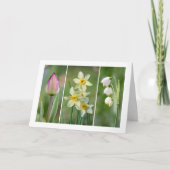 "Spring Flowers" blanco wenskaart Kaart (Voorkant)