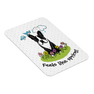 Spring Flowers Boston Terrier Dog (zwart) Cute Magneet