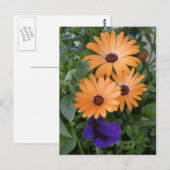 Spring Flowers Card Briefkaart (Voorkant / Achterkant)