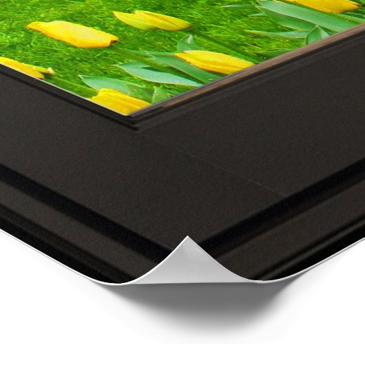 Spring Flowers Faux Window Illusion 24x24 Black Poster (Hoek)