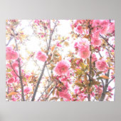 Spring Flowers Floral roze Cherry Blossom Abstract Poster (Voorkant)