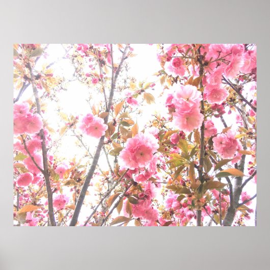 Spring Flowers Floral roze Cherry Blossom Abstract Poster (Voorkant)