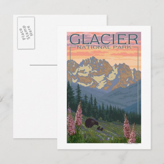 Spring Flowers - Glacier National Park, MT Briefkaart (Voorkant / Achterkant)