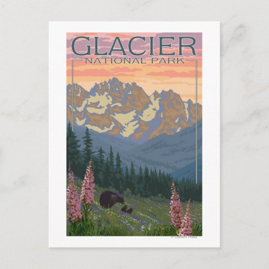 Spring Flowers - Glacier National Park, MT Briefkaart (Voorkant)