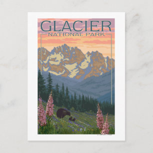 Spring Flowers - Glacier National Park, MT Briefkaart