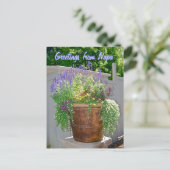 Spring Flowers Greetings uit Napa Briefkaart (Staand voorkant)