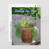Spring Flowers Greetings uit Napa Briefkaart (Voorkant / Achterkant)