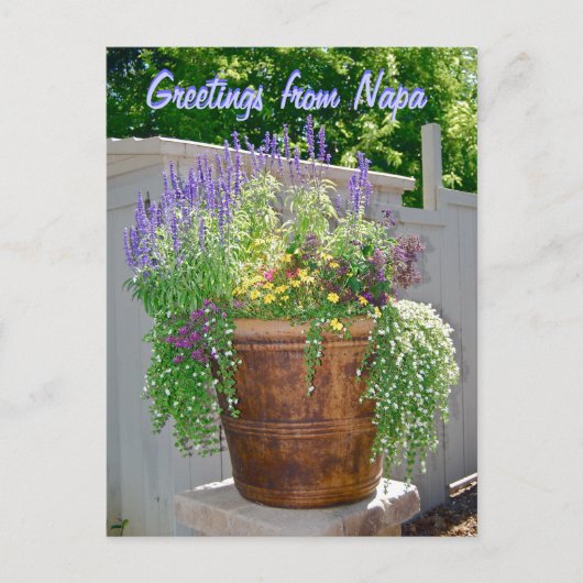 Spring Flowers Greetings uit Napa Briefkaart (Voorkant)