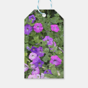 Spring Flowers Paars Garden Petunia Floral Foto Cadeaulabel