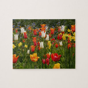 Spring Flowers Puzzle Legpuzzel
