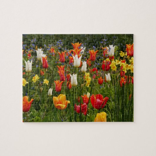 Spring Flowers Puzzle Legpuzzel (Horizontaal)