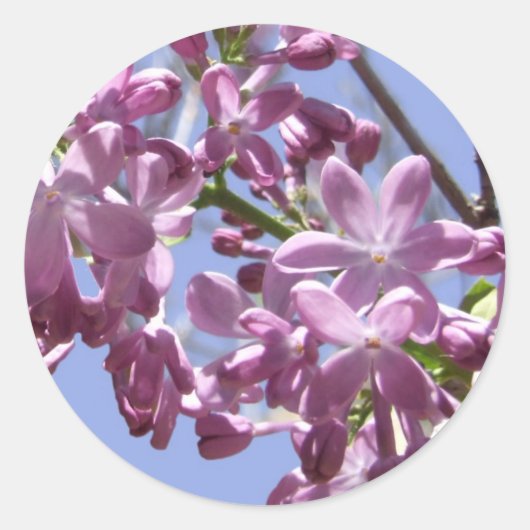 Spring Flowers Stickers (Voorkant)