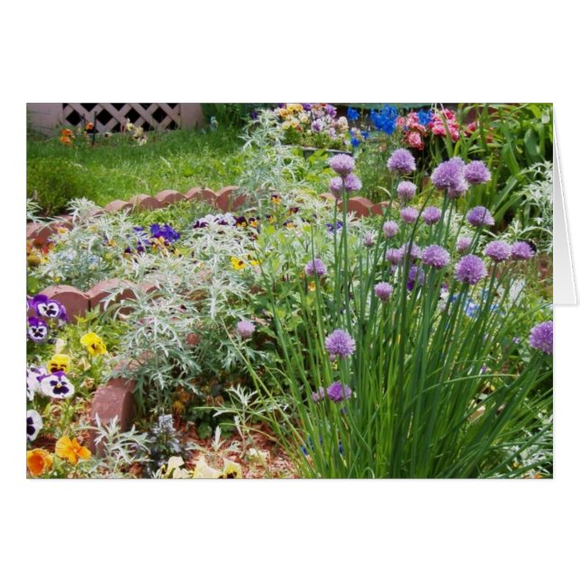 Spring Garden (Voorkant Horizontaal)