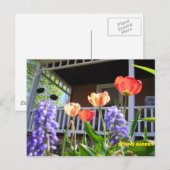 SPRING GARDEN BRIEFKAART (Voorkant / Achterkant)