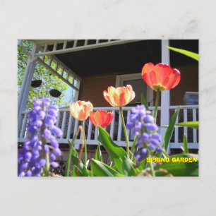 SPRING GARDEN BRIEFKAART