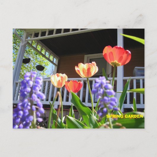 SPRING GARDEN BRIEFKAART (Voorkant)