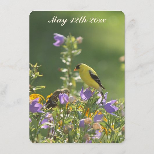 Spring Garden Collectie Menu (Achterkant)