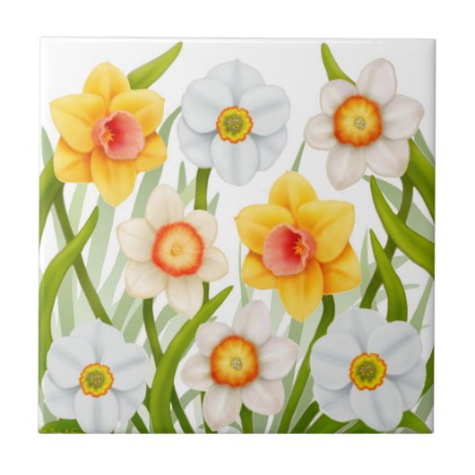 Spring Garden Daffodil Flowers Tile Tegeltje (Voorkant)