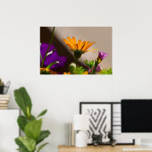 Spring Garden Ggloing Daisy Petunia Poster (Thuiskantoor)