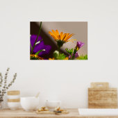 Spring Garden Ggloing Daisy Petunia Poster (Keuken)