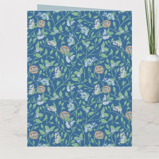 Spring Garden Moeder Dag Robin Nest Foto Kaart (Achterkant)