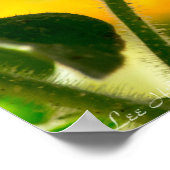 Spring Garden Paars Petunia Poster (Hoek)