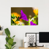 Spring Garden Paars Petunia Poster (Thuiskantoor)