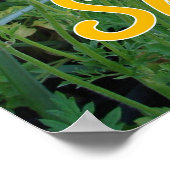 Spring Garden Smile Quote Floral Flowers Poster (Hoek)