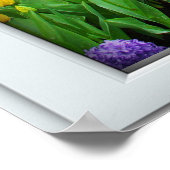 Spring Garden Window Illusion Poster (Hoek)