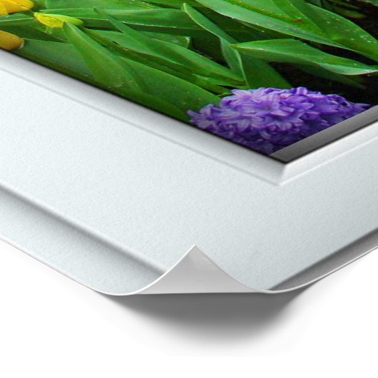 Spring Garden Window Illusion Poster (Hoek)