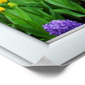 Spring Garden Window Illusion Poster (Hoek)