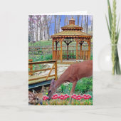 Spring Gazebo Deer & Fawn Kaart (Voorkant)