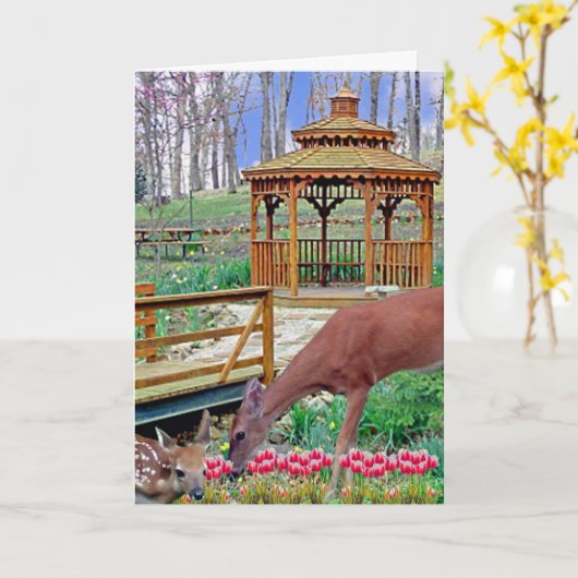 Spring Gazebo Deer & Fawn Kaart (Gele Bloem)