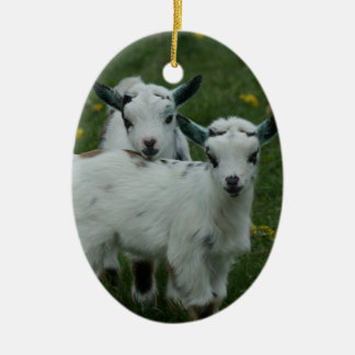 SPRING GOAT BABIES - CHRISTMAS ORNAMENS KERAMISCH ORNAMENT