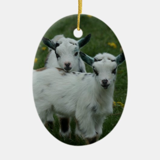 SPRING GOAT BABIES - CHRISTMAS ORNAMENS KERAMISCH ORNAMENT (Voorkant)