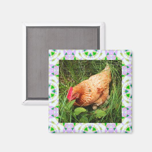 Spring Green en Paasroze Star Square Lijst Magneet (Voorkant / Achterkant)