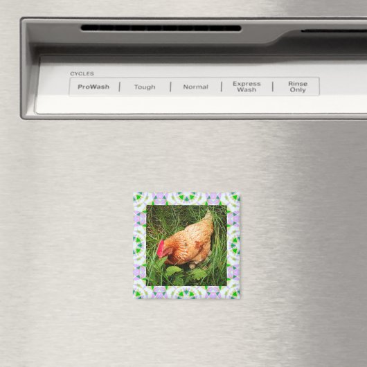 Spring Green en Paasroze Star Square Lijst Magneet (Insitu (Vaatwasser))