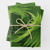 SPRING GREEN FERN FOTO WRAPPINGPAPIEREN INPAKPAPIER VEL (In situ)