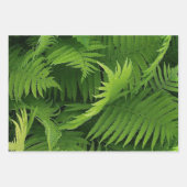 SPRING GREEN FERN FOTO WRAPPINGPAPIEREN INPAKPAPIER VEL (Voorkant)