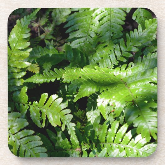 Spring Green Ferns boho botanisch Bier Onderzetter (Voorkant)