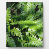 Spring Green Ferns boho botanisch Fotoplaat (Voorkant)