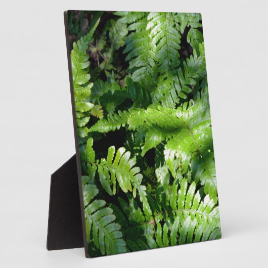 Spring Green Ferns boho botanisch Fotoplaat (Zijkant)